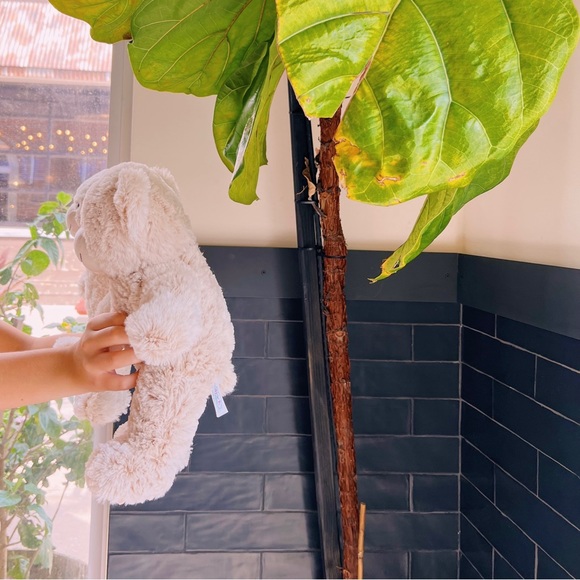 BUNDLE TWO STUFFED BEAR ANIMAL VALETINE - Picture 2 of 6